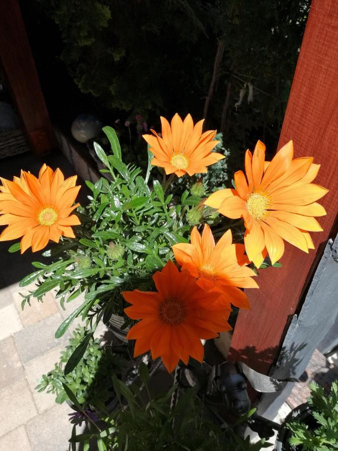 Usis_ferienwohnung Im Harz *